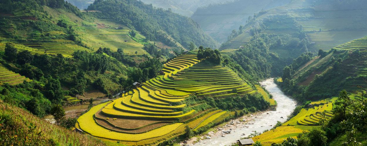Vietnam Main